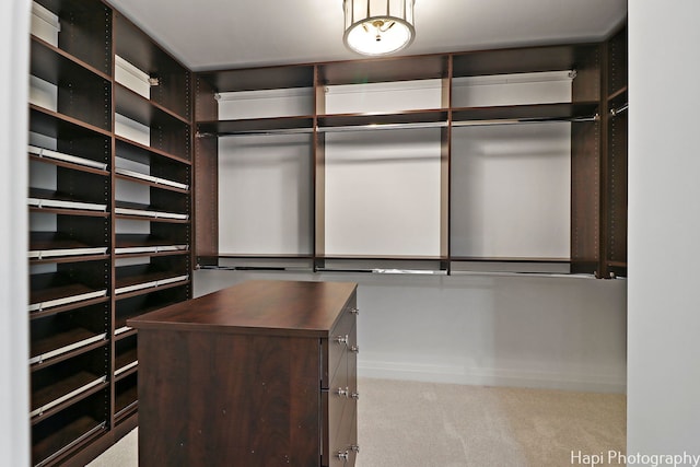 spacious closet featuring light carpet