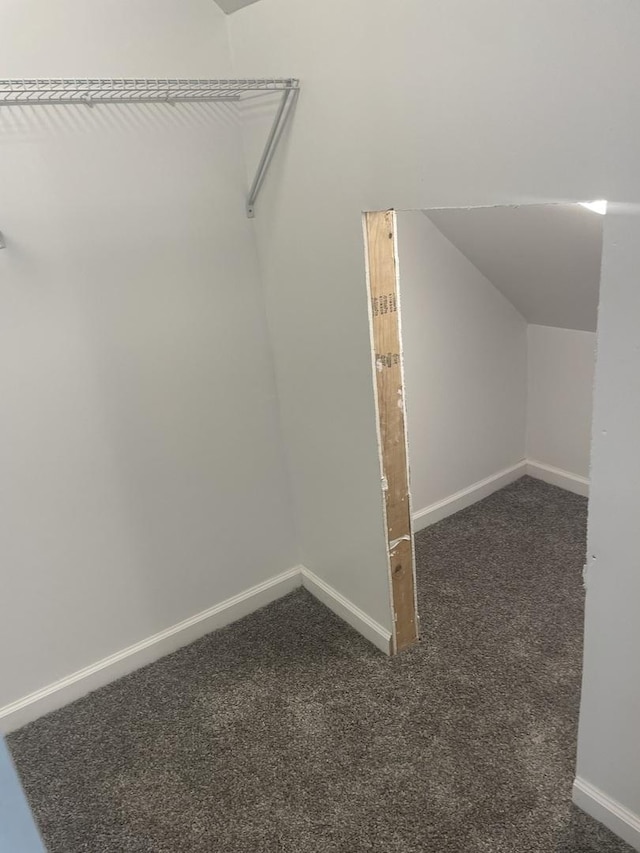 spacious closet with vaulted ceiling and dark carpet