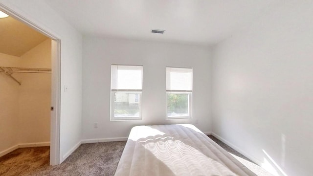 bedroom with a walk in closet, a closet, and carpet flooring