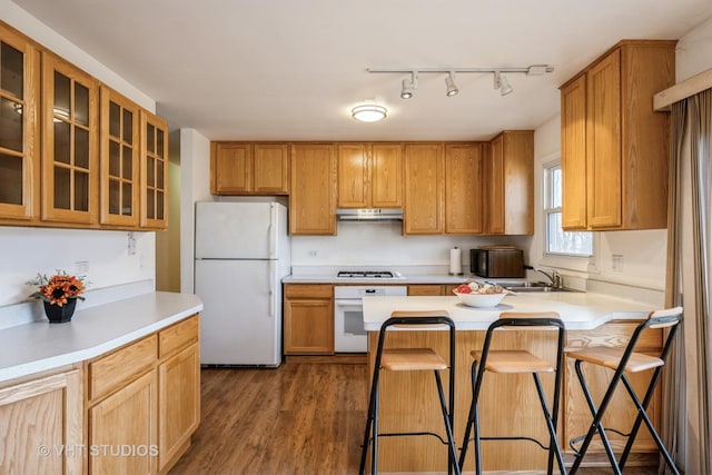 kitchen featuring white appliances, a sink, dark wood-type flooring, glass insert cabinets, and under cabinet range hood