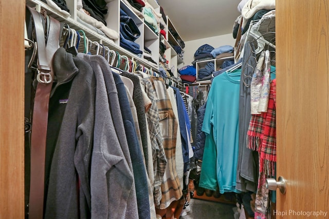 view of spacious closet