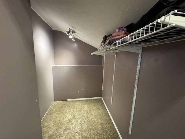 walk in closet featuring carpet floors and vaulted ceiling