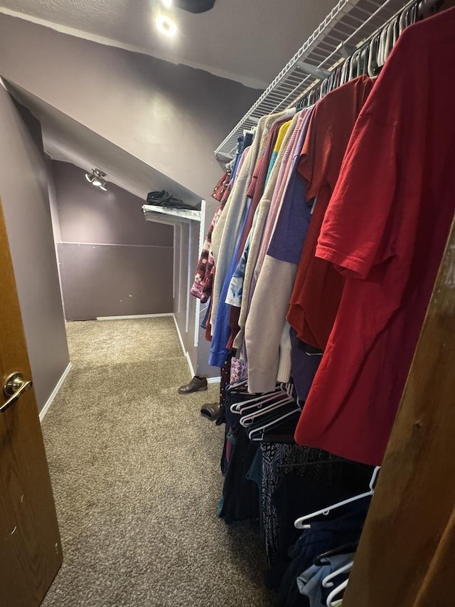 spacious closet featuring carpet flooring