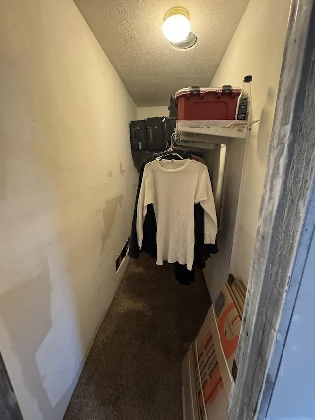 spacious closet featuring carpet floors