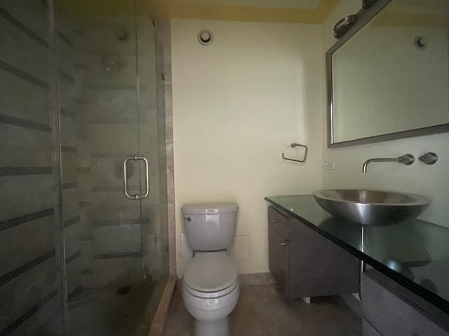 bathroom with vanity, toilet, and walk in shower