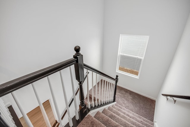 stairway with carpet floors