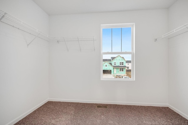 walk in closet featuring carpet