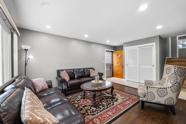 living room with wood-type flooring