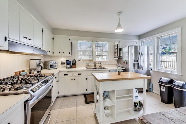 201 W Council Trl, Mount Prospect, IL 60056 - kitchen with open shelves, white cabinetry, a sink, stainless steel appliances, and extractor fan