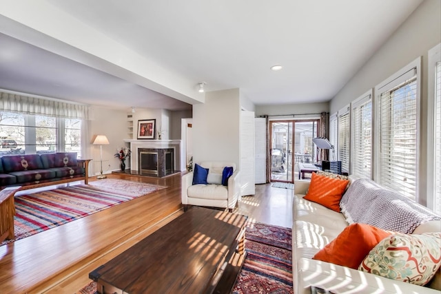 living room with a premium fireplace and wood finished floors