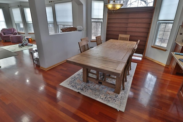 dining area with dark hardwood / wood-style flooring