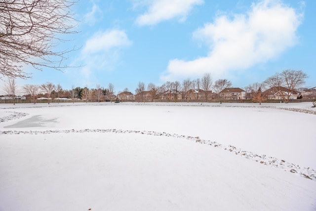 view of snowy yard