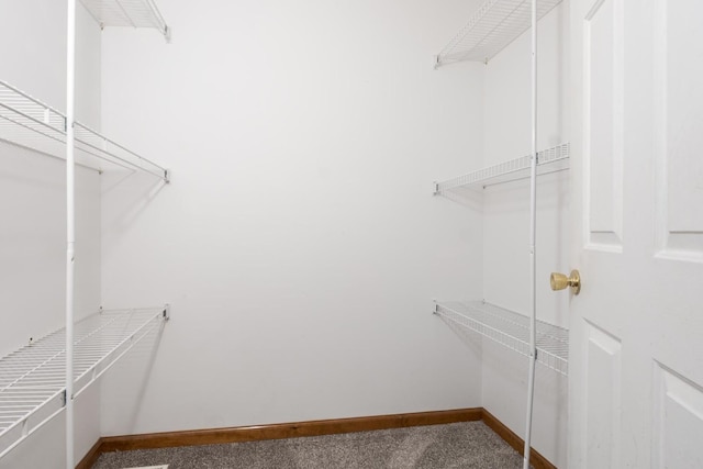 walk in closet with carpet flooring