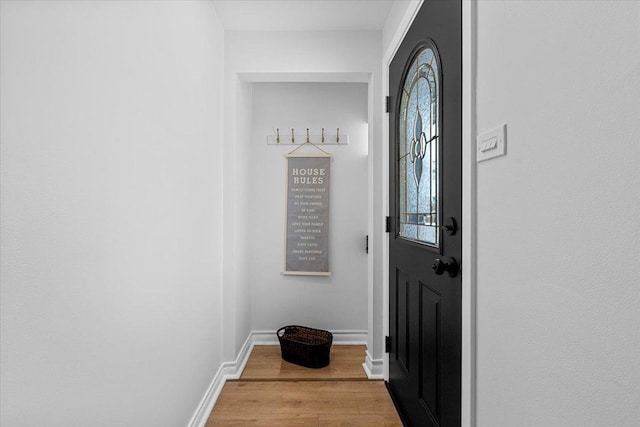 doorway with light hardwood / wood-style floors and a healthy amount of sunlight