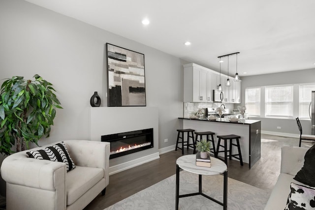 living room featuring dark hardwood / wood-style flooring