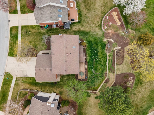 bird's eye view