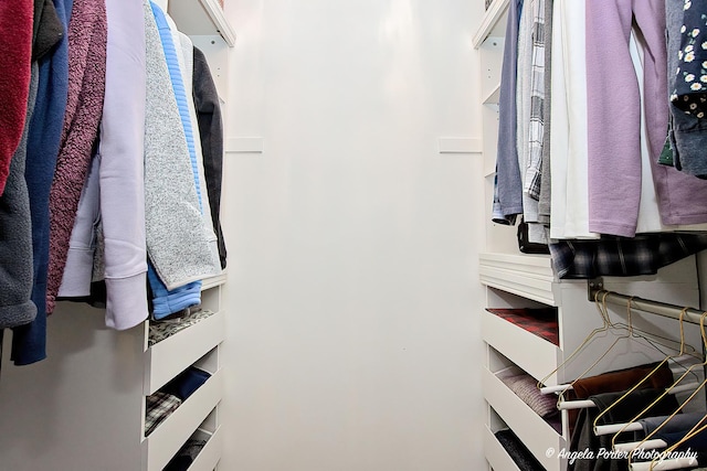 view of walk in closet