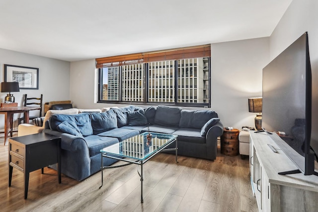 living room featuring wood-type flooring