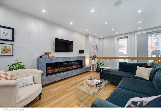 living room featuring a premium fireplace and hardwood / wood-style floors