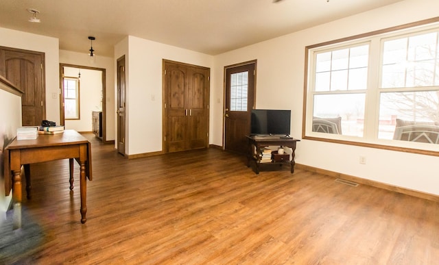 interior space featuring wood-type flooring and plenty of natural light