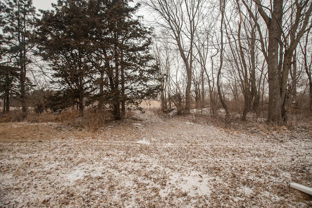 view of local wilderness