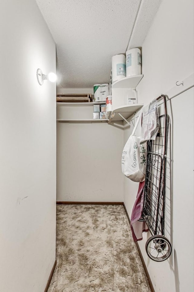 walk in closet featuring carpet flooring