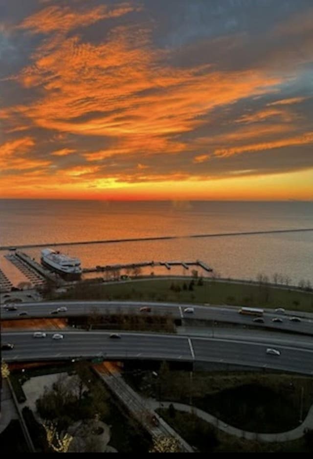 400 E Randolph St Unit 2410, Chicago, IL 60601 - water view