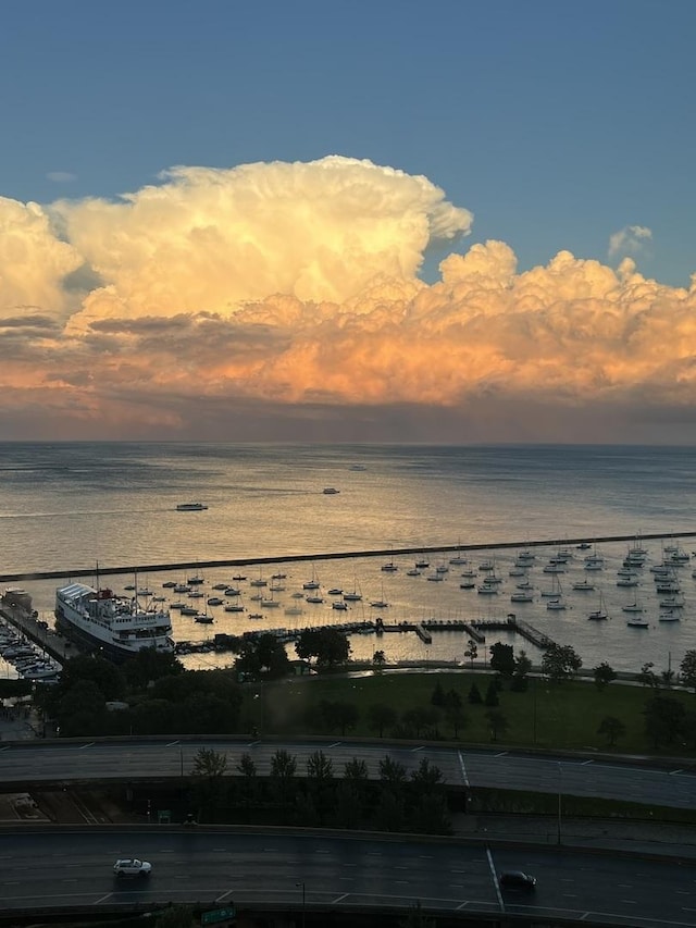 400 E Randolph St Unit 2410, Chicago, IL 60601 - water view featuring nearby beach