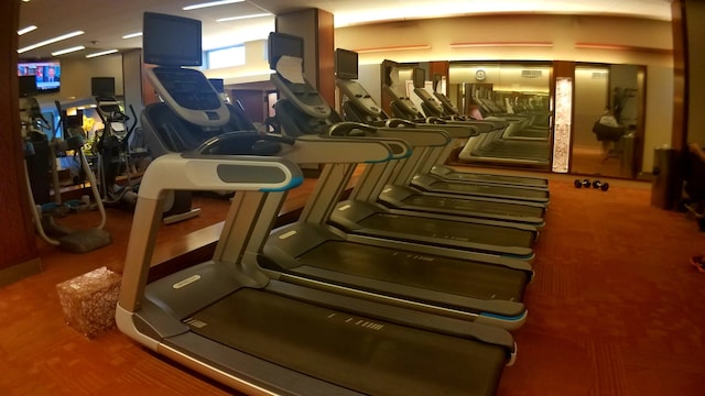 400 E Randolph St Unit 2410, Chicago, IL 60601 - view of gym