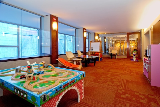 400 E Randolph St Unit 2410, Chicago, IL 60601 - recreation room featuring carpet floors