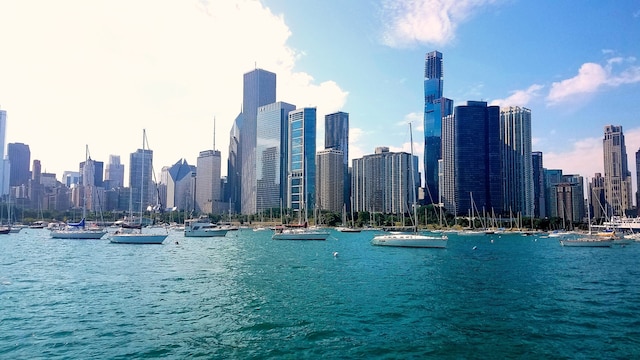 400 E Randolph St Unit 2410, Chicago, IL 60601 - water view with skyline