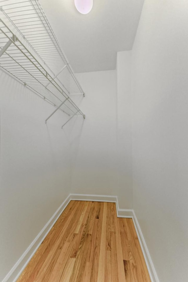 spacious closet featuring wood-type flooring