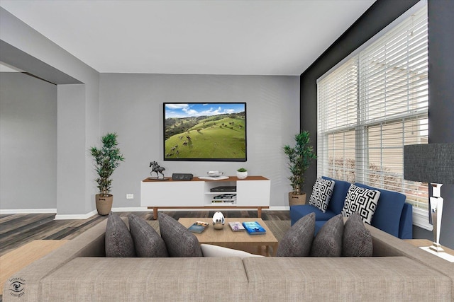 living room with baseboards and wood finished floors