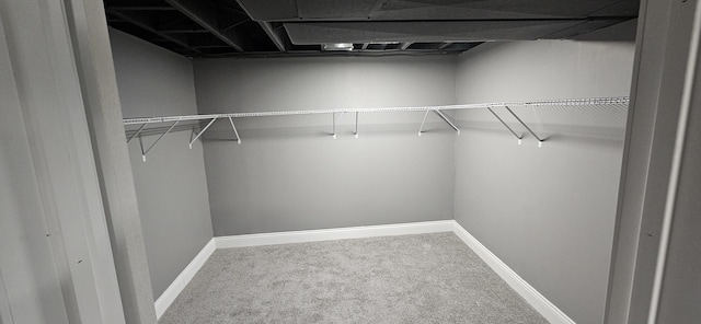 spacious closet with carpet