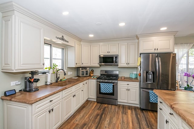 kitchen with plenty of natural light, stainless steel appliances, dark wood-type flooring, and a sink