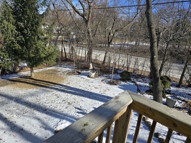 view of yard layered in snow