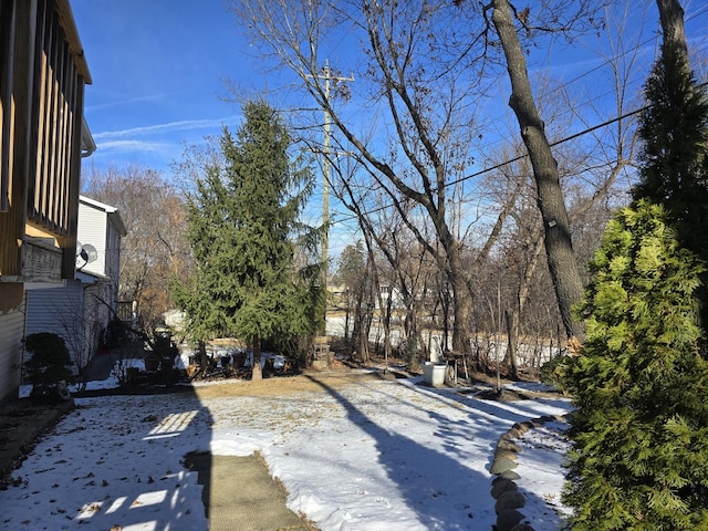 view of yard covered in snow