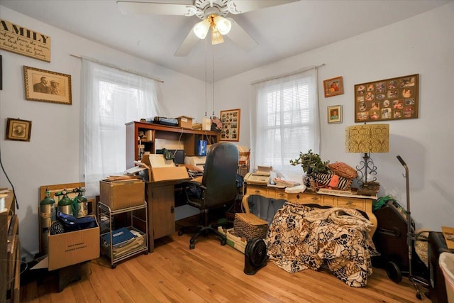 office area with ceiling fan and light hardwood / wood-style flooring