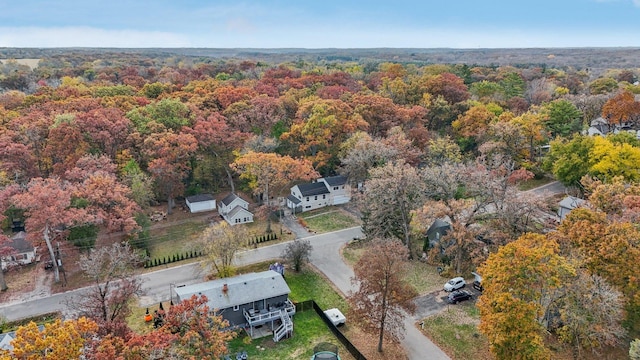 drone / aerial view