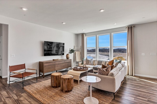 living room featuring dark hardwood / wood-style flooring