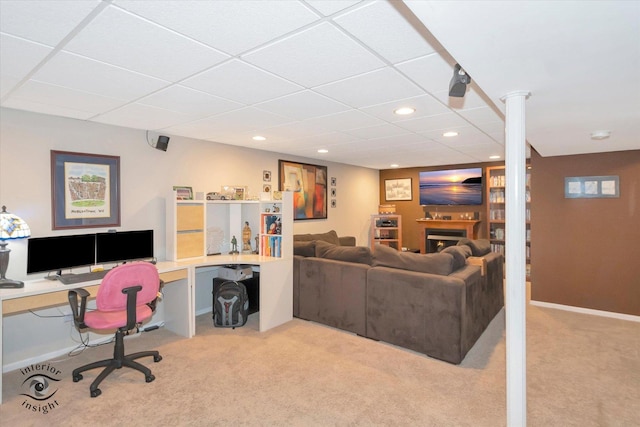 carpeted living room featuring a lit fireplace, a drop ceiling, and recessed lighting