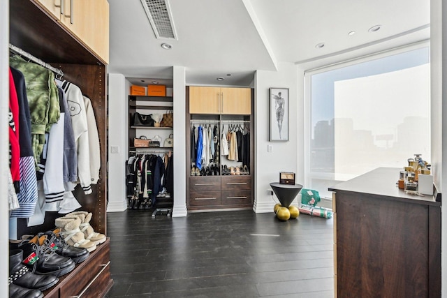 spacious closet with visible vents and dark wood-style flooring