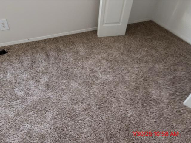 room details with carpet floors