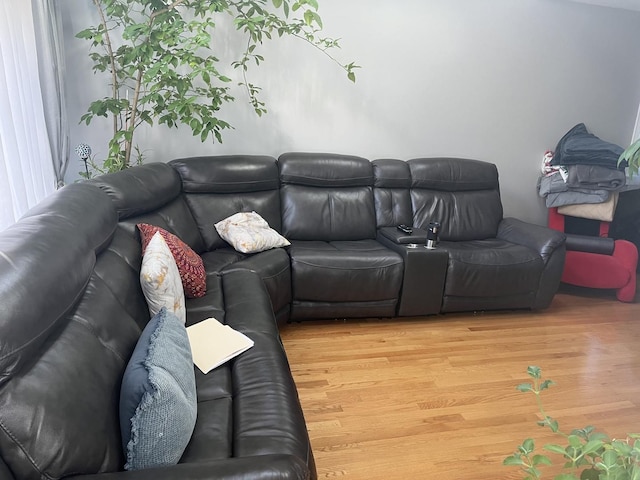 living room with hardwood / wood-style floors