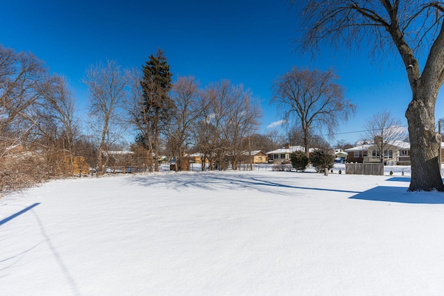 view of yard covered in snow