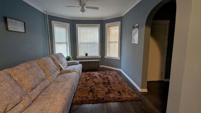 living room featuring crown molding, ceiling fan, radiator heating unit, and dark hardwood / wood-style flooring