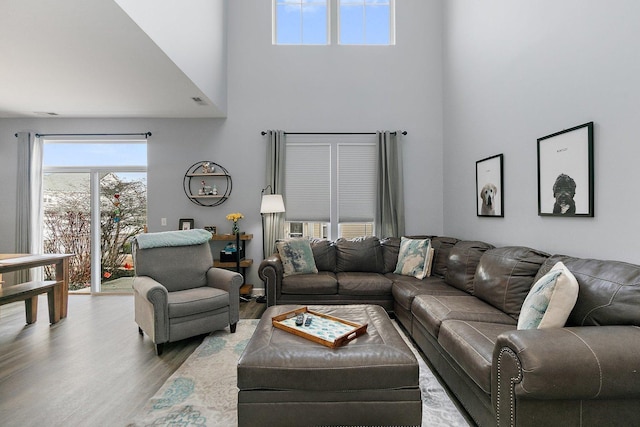 living room with hardwood / wood-style flooring and a high ceiling