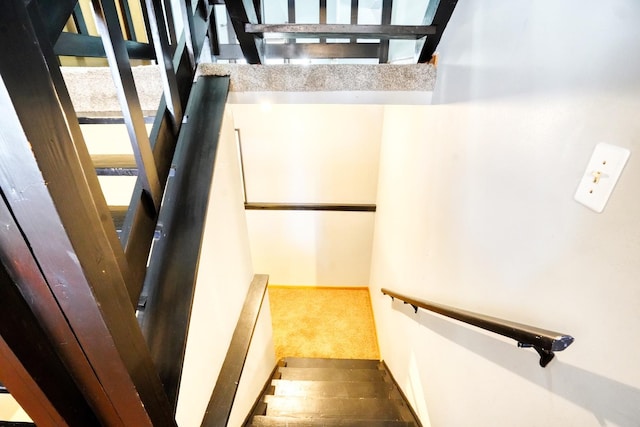 stairway with carpet flooring