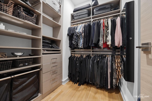 walk in closet with light hardwood / wood-style flooring