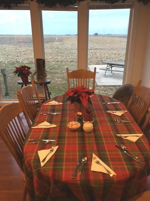 597 County Road 100 E, Ivesdale, IL 61851 - photo 46